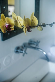 Apua Ferradura (adults Only) 3*